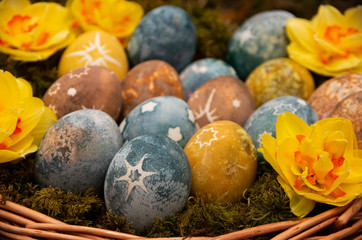 Easter painted eggs with stars and daffodils