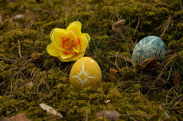 Easter painted blue egg with star on moss