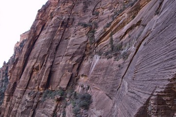 Zion National Park