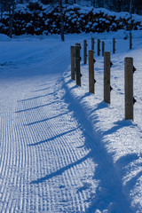 Sunny Winter's Day 1