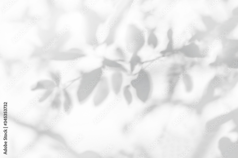 Poster leaves shadow and tree branch background. natural leaves tree branch dark shadow and light from sunl