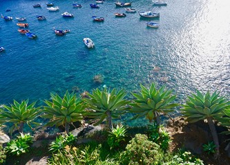 Lazurowa zatoka portowa © Rafal