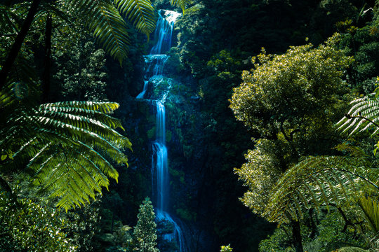 Kite Kite Falls, Neuseeland, Pahia, Waterfall
