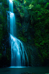 Fototapeta na wymiar Kite Kite Falls, Neuseeland, Pahia, Waterfall