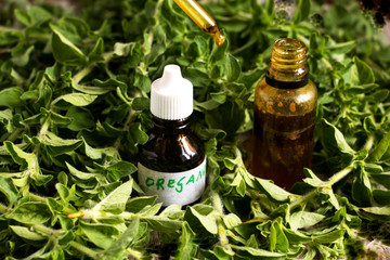 oregano, nicht nur eine würzpflanze auch als Heilmittel beliebt
