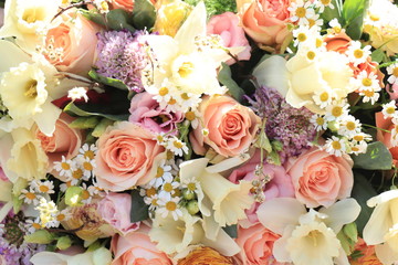 Pastel spring flowers