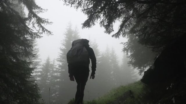 Mysterious silhouette of hiker with backpack walking through a foggy dark forest, slow motion