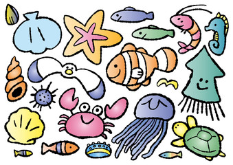 海の生き物たちsea animals