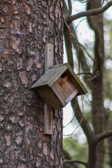 wooden bird house