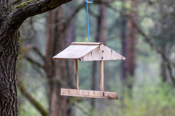 wooden bird house
