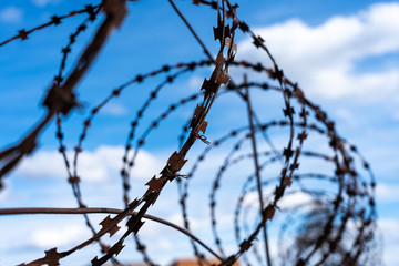 Fototapeta na wymiar Barbed wire rusty on a background of blue sky