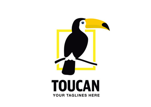 Toucan flat style vector logo template isolated on white. Tropical bird icon