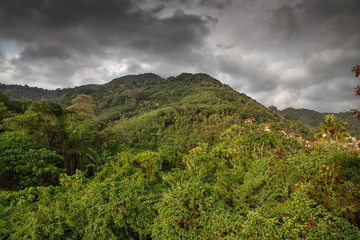 Widoki i egzotyczne krajobrazy i dzika roślinność Tajlandii. Piękne i piaszczyste plaże, lasy tropikalne i błękitna laguna. Skały i klify na oceanie.  © anettastar