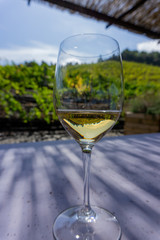 Glass of white wine