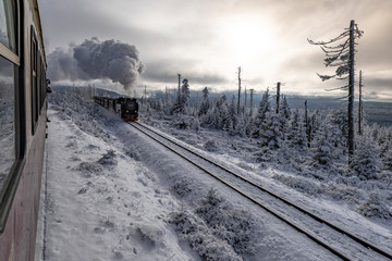 Schmalspurbahn mit Dampflokomotive fährt in schneeverschneiter Landschaft im Harz