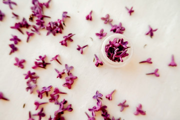 White jar with lilac petals on a white background, facial massager, alternative medicine and skin care.