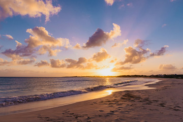 Naklejka na ściany i meble sunset palm trees on white sand tropical island of Anguilla