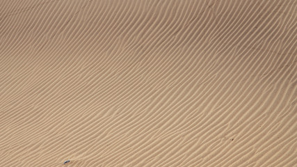 Dunes in summer in Canary Islands (Spain)