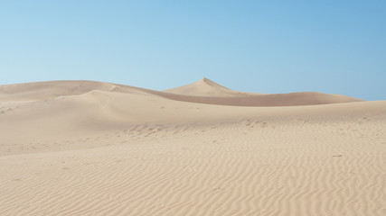 Fototapeta na wymiar Dunes in summer in Canary Islands (Spain)