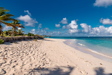 luxury and palm trees on the white sand tropical island of Anguilla