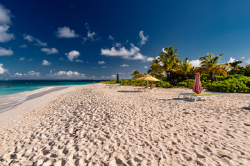 Fototapeta na wymiar luxury and palm trees on the white sand tropical island of Anguilla