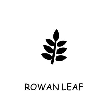 Rowan leaf flat vector icon