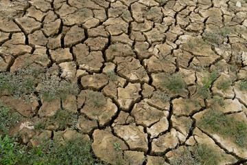 The ground that is divided from drought.