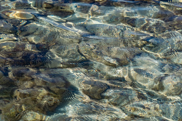 The surface is salty sea water, swaying in small waves near the shore, through the transparent bottom you can see stones and pebbles
