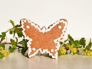 Romantic concept with gingerbread butterfly and fresh spring twig