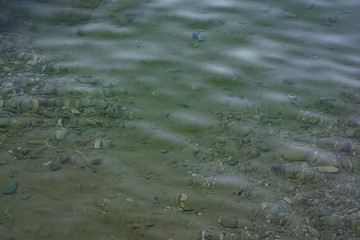 The surface is salty sea water, swaying in small waves near the shore, through the transparent bottom you can see stones and pebbles
