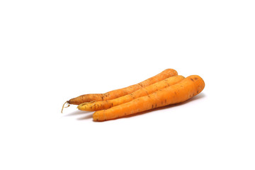 Three carrots (Daucus carota) isolated on white background