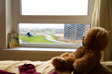 Teddy bear at the window in the afternoon