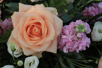 Peach colored roses