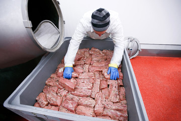 A worker in the meat factory, he arranges pieces of meat marinated in spices, a food processing and production industry.