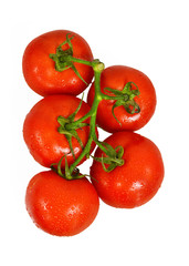 Fresh tomatoes isolated on white background