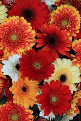 Colorful gerbera bouquet