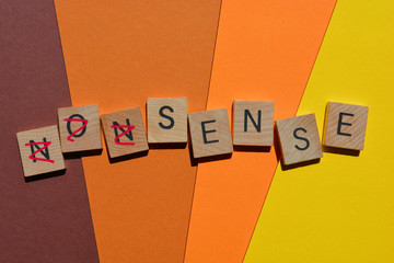 Nonsense with prefix non crossed out to  leave the word Sense