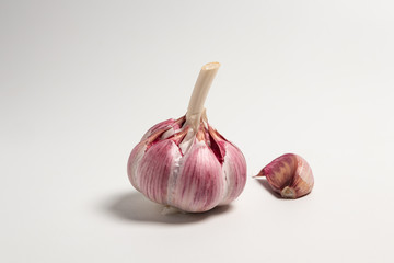 Head of purple garlic on white background