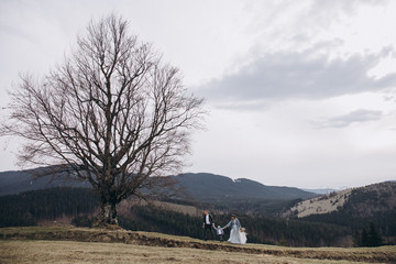 Stylish couple in the mountains. Stock Photo. A guy in a leather jacket and a young girl in a gray-blue wedding dress and a denim jacket with their son on the background of a large tree and sky