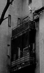 stara kamienica, balkon, ptaki, © jarosaw