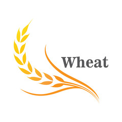 Agriculture wheat logo or symbol icon design illustration