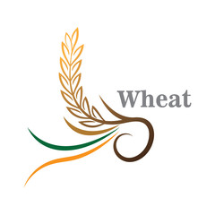 Agriculture wheat logo or symbol icon design illustration