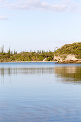 Vertical seascape of ile des pins