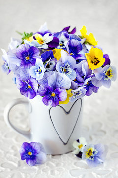 Photo of a beautiful pansy flowers close-up in a mug on a light background. Beautiful and delicate flowers.