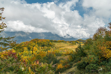Obraz premium autumn landscape in the mountains
