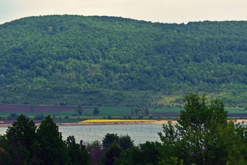 lake reflection water forest summer fields harvest