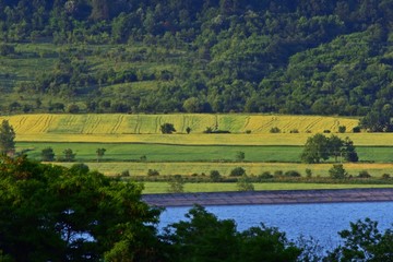 lake reflection water forest summer fields harvest