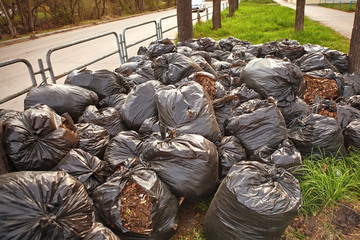 Fallen autumn leaves in plastic bags on the pavement. Cleaning the streets of the city. The concept of clean planet.