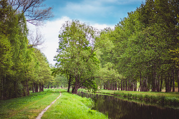Wald Fluss Spreewald
