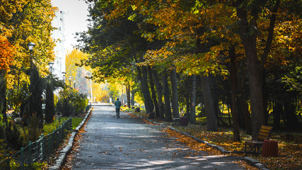 Fototapeta na wymiar Alley in the autumn park. A man jogs in the morning at a city park
